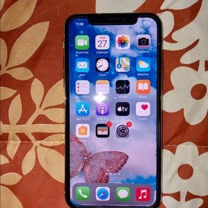 iPhone X